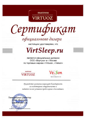 Сертификат официального дилера Virtuoz